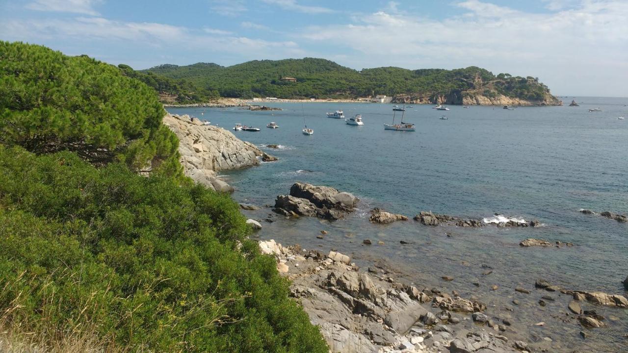 Casa Rural "Can Abres" Vilobi D'Onyar Girona Viloví de Oñar エクステリア 写真