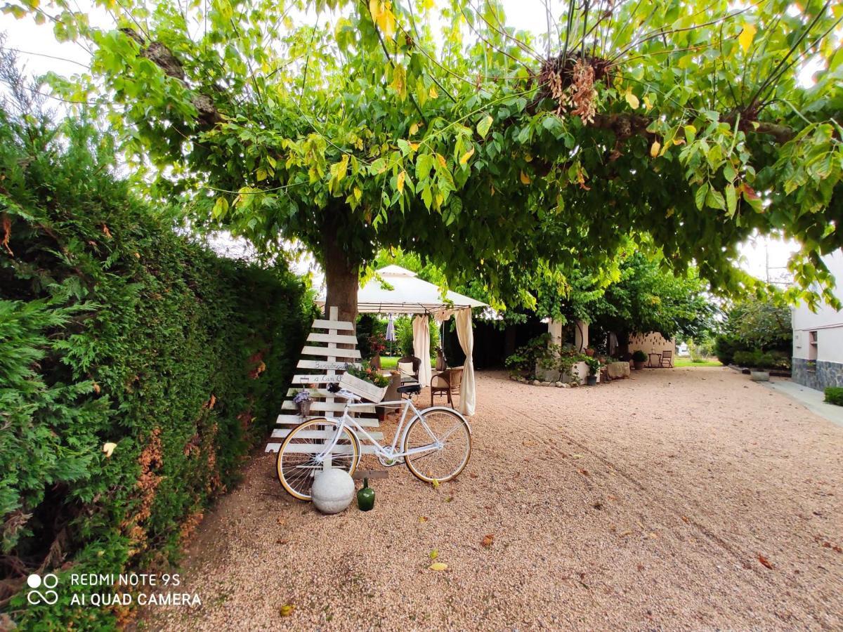 Casa Rural "Can Abres" Vilobi D'Onyar Girona Viloví de Oñar エクステリア 写真