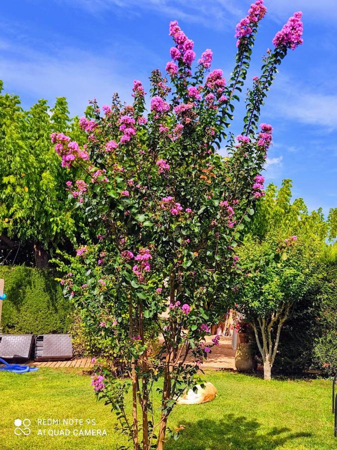 Casa Rural "Can Abres" Vilobi D'Onyar Girona Viloví de Oñar エクステリア 写真
